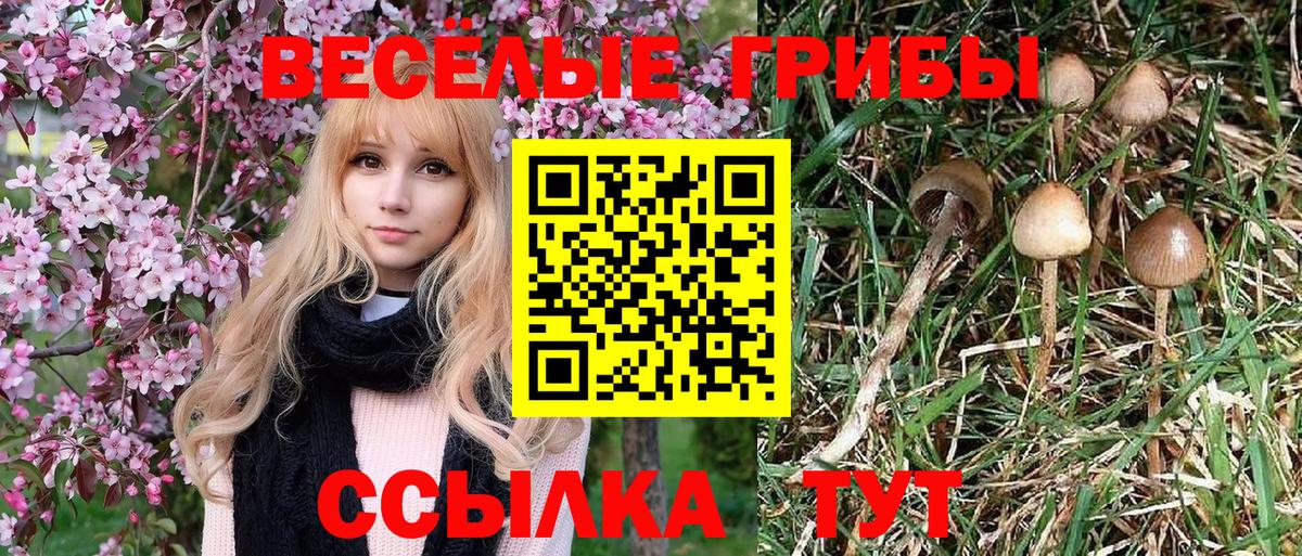 Гай  Псилоцибиновые грибы мухоморы  Псилоцибиновые грибы ЛСД  Вход с VPN 