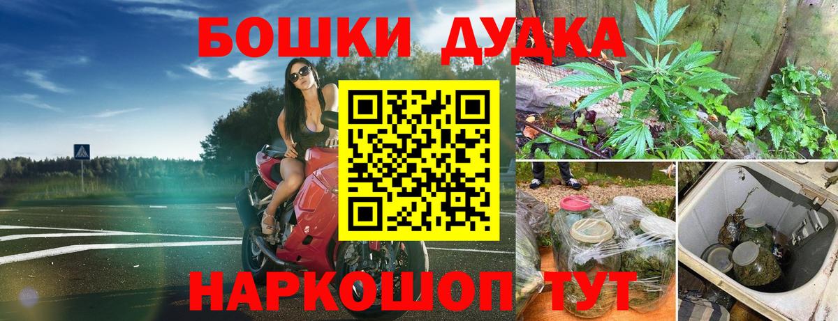 Бошки Шишки план Гай